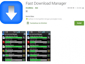 Fast Download Manager