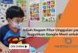 Inilah Ragam Fitur Unggulan Yang di Suguhkan Google Meet Untuk PPJ