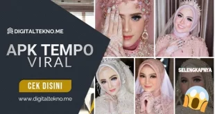 Download Aplikasi Tempo yang viral Menjadi Pengantin November 2021