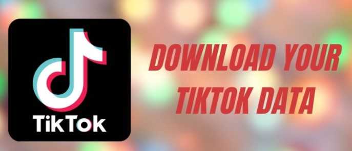 Tiktok Downloader